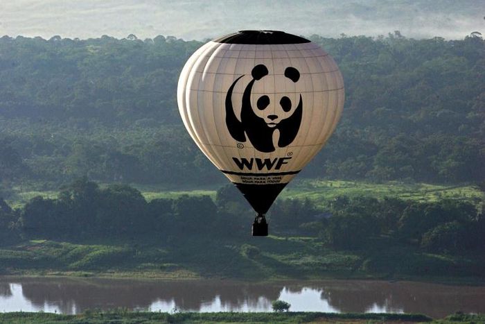 Stamping out poaching and other wildlife crime is a priority for WWF