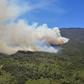 The forest blaze has destroyed more than 80,000 hectares