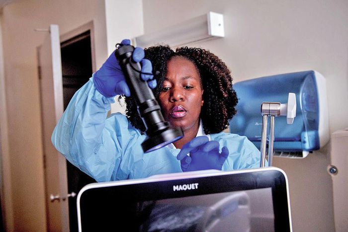 Fungus immune to drugs secretly sweeps the globe