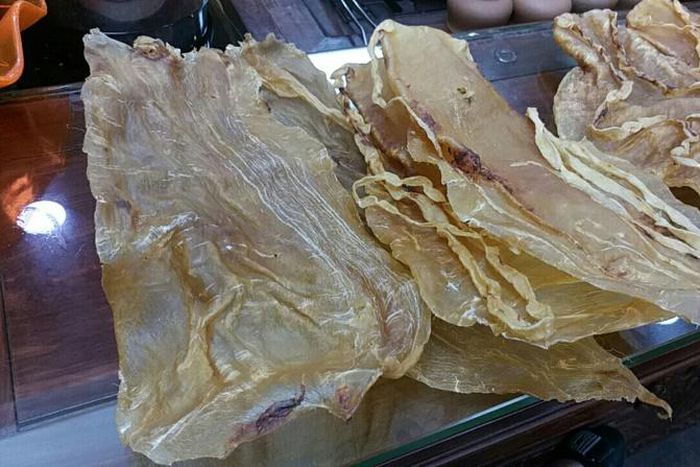 Totoaba fish swim bladders are highly prized in Chinese cuisine for their supposed medical properties
