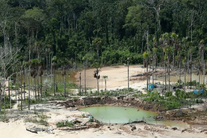 View of the deforested area around a now-dismantled illegal mining camp in the Peruvian Amazon