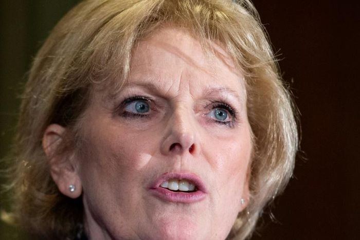 Pro-European politician Anna Soubry (pictured February 2019), who quit the ruling Conservative Party in protest at its stance on the EU and joined the new Independent Group of MPs, said she had been sent bullets as a form of intimidation