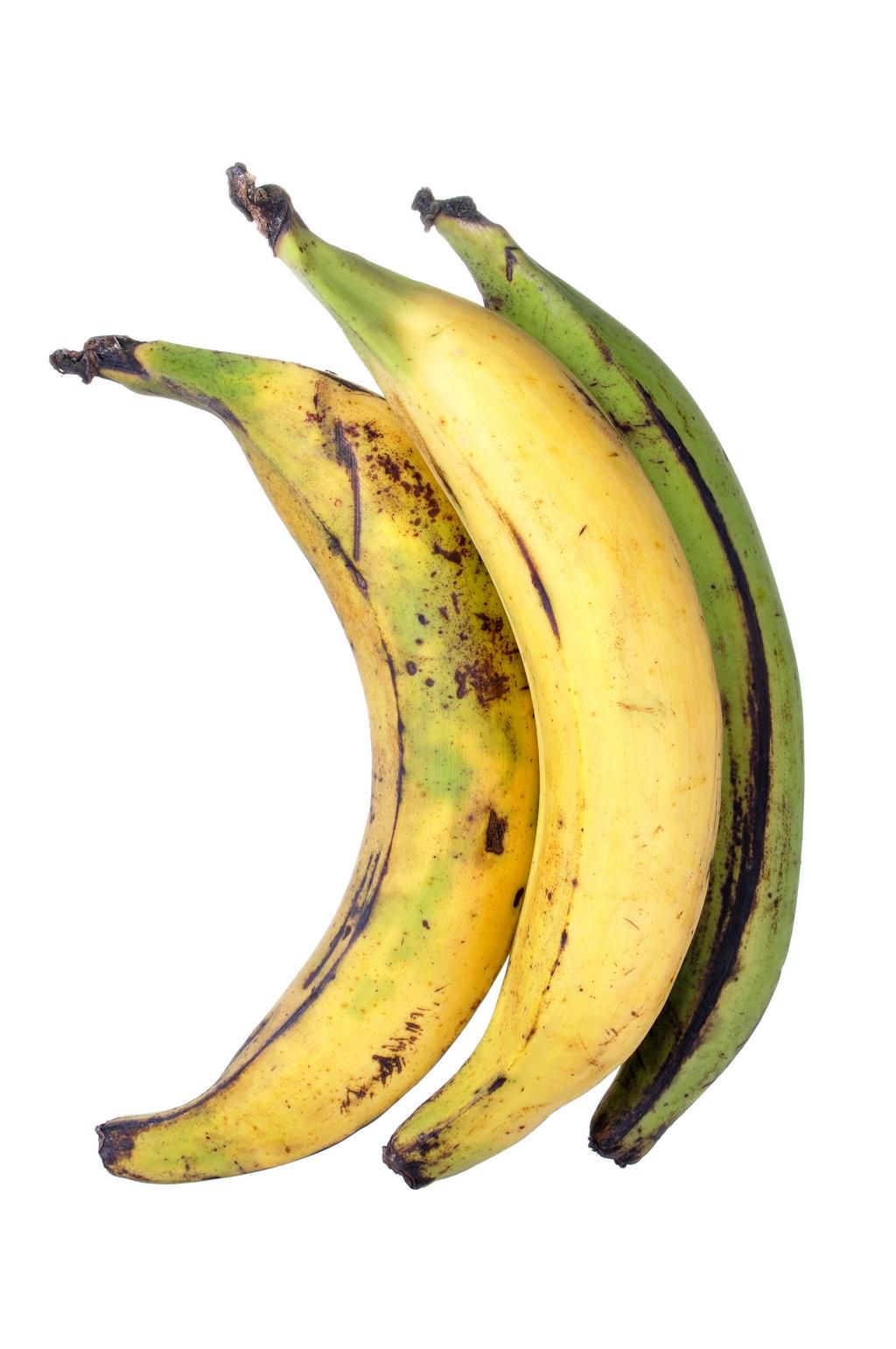 Plantain bananas