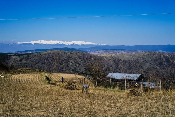 The largest employer in Brashten is a single farm nearly 2,500 kilometres away in the English county of Kent