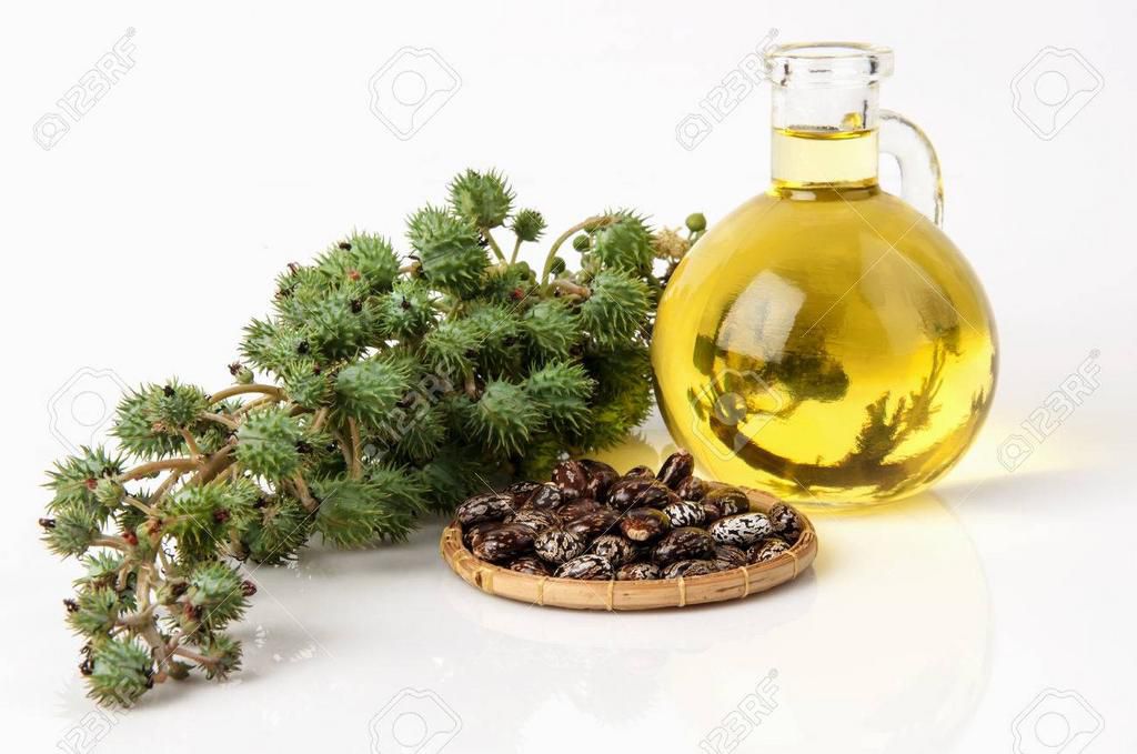 Here are the 5 body-boosting benefits of castor oil [Credit: 123rf.com]