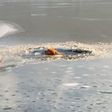 Man Jumps Into Frozen Reservoir to Save Two Dogs