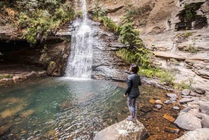 World Wildlife Fund (WWF)