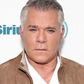 Ray Liotta in Talks to Join 'Sopranos' Prequel