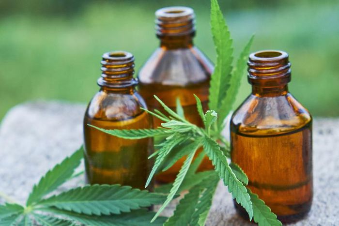 Is Hemp Oil Beneficial?
