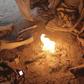 Three undergraduates reportedly included the underwear of their school mates in an interrupted ritual. [Africa Geographic Magazine]