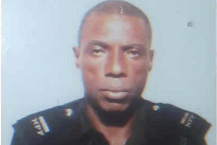 Inspector Dania Ojo allegedly killed Ada Ifeanyi in Lagos (Punch)