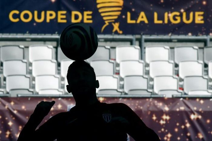 The French Football League board said it was "deeply concerned" that club finances and playing standards would suffer if plans backed by the European football governing body went through