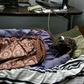 Osman Mirghani recovering after an incident in 2014 when he was beaten by armed men who raided the offices of his newspaper
