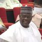 Senator Danjuma Goje has gotten the backing of Northeast Youths Development Association