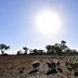 Meteorologists say weather patterns over the Indian and Pacific oceans have contributed to recent higher temperatures, but that long-term climate change trends are also involved