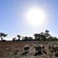 Meteorologists say weather patterns over the Indian and Pacific oceans have contributed to recent higher temperatures, but that long-term climate change trends are also involved
