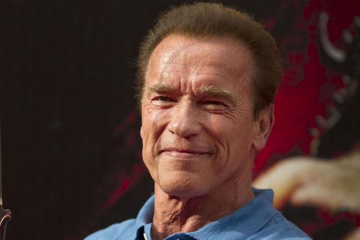 Arnold Wants to Play Conan the Barbarian Again
