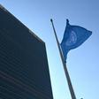 Twenty-one UN staff members were among those killed when Ethiopian Airlines Flight ET302 crashed into a field just six minutes after takeoff from Addis Ababa