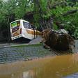 A man takes a photo near a bus crushed by a fallen tree in Rio de Janeiro, Brazil, on April 9, 2019
