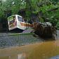 A man takes a photo near a bus crushed by a fallen tree in Rio de Janeiro, Brazil, on April 9, 2019