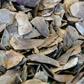 Pangolin scales are used in traditional Chinese medicine but have no scientifically proven benefits