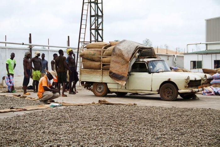 Benin is finding new ways of squeezing profit from cashew nuts