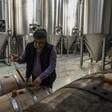 Greek microbrewer Sophocles Panagiotou set up his business in a family field on the island of Evia a decade ago at the start of the financial crisis