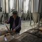 Greek microbrewer Sophocles Panagiotou set up his business in a family field on the island of Evia a decade ago at the start of the financial crisis