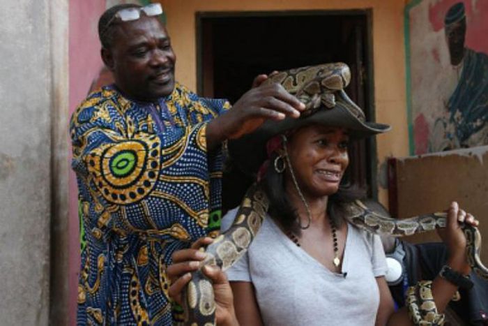 A tourist carrying a snake at Temple des pythons [Black feelings]