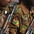 Malian troops have come under frequent attack by jihadists who carried out 237 attacks in 2018