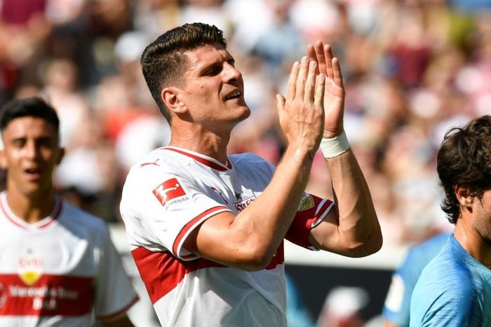 Stuttgart's ex-Germany forward Mario Gomez says the goal of the 2007 Bundesliga champions is to finish 14th -- to stay up -- at the end of the season