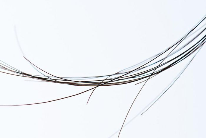 What Exactly Are Rogue Hairs?