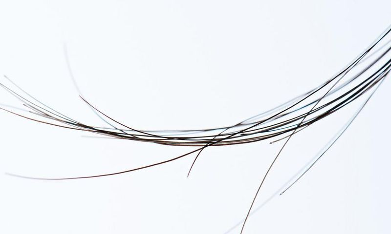 What Exactly Are Rogue Hairs?