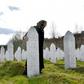 The 1995 Srebrenica massacre by Bosnian Serb forces killed more than 8,000 Muslim men and boys