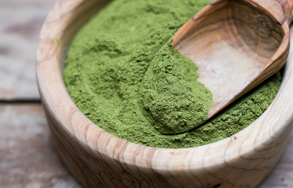 Is Moringa Good for You?