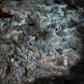Decades of oil spills have left the southern Nigerian region of Ogoniland an environmental disaster zone