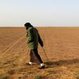 White truffle hunters comb the desert in Libya for the fungus known locally as "Terfas" which grows under the sand nurtured by the combined effect of rain and cold temperatures at night