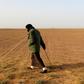 White truffle hunters comb the desert in Libya for the fungus known locally as "Terfas" which grows under the sand nurtured by the combined effect of rain and cold temperatures at night