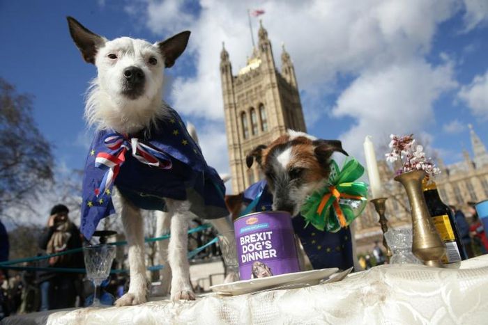 Foreign Secretary Jeremy Hunt admitted to the BBC in November that "many people are bored of Brexit" and want the whole thing to go away