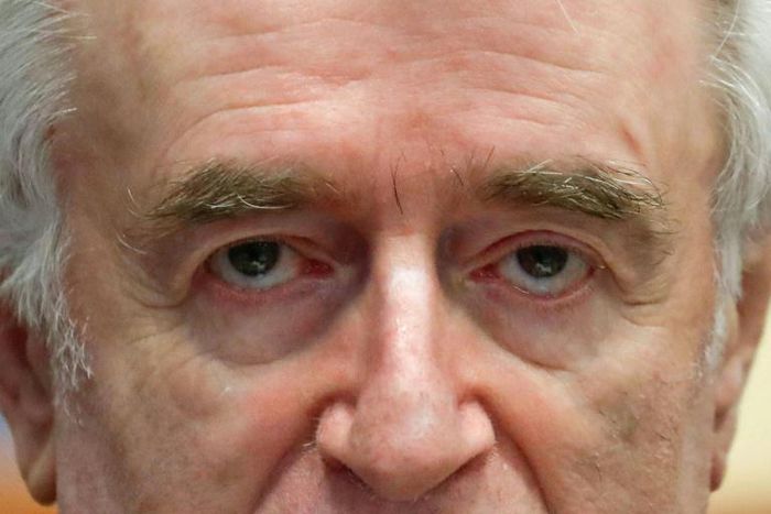 Former Bosnian Serb leader Radovan Karadzic was sentenced in 2016 to 40 years in jail for his role in the bloodshed in Bosnia