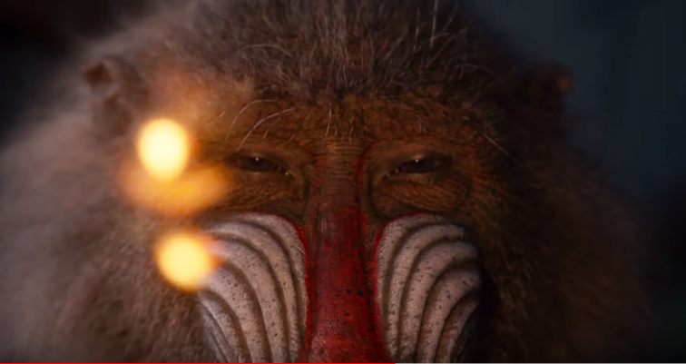 Rafiki in 'The Lion King' movie trailer. [YouTube/Walt Disney]