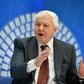 David Attenborough said the planet was experiencing a 'fresh extinction' that called for concerted action