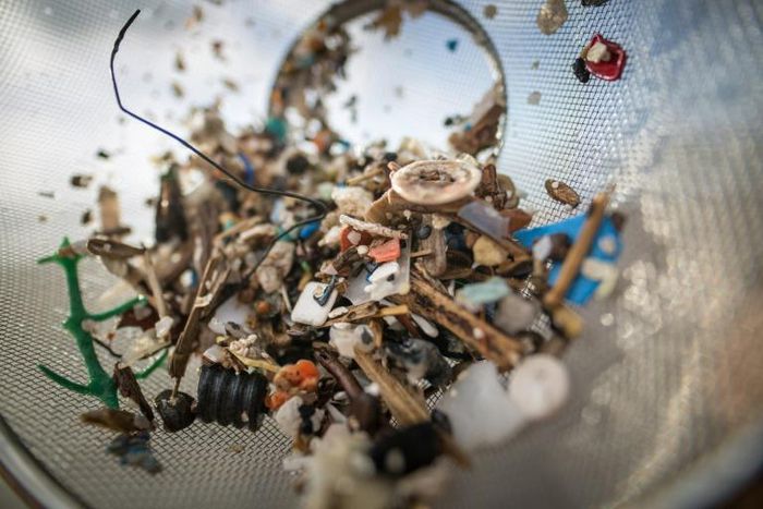 Microplastic particles are either dumped directly into the seas via sewers and rivers or form when larger chunks of plastic break down over time