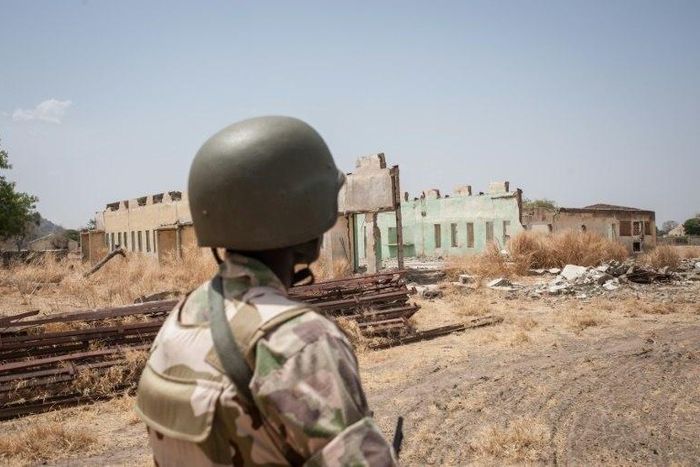 A counter-offensive backed by a regional force has seen the Nigerian military retake swathes of territory from Boko Haram insurgents in the north of the country