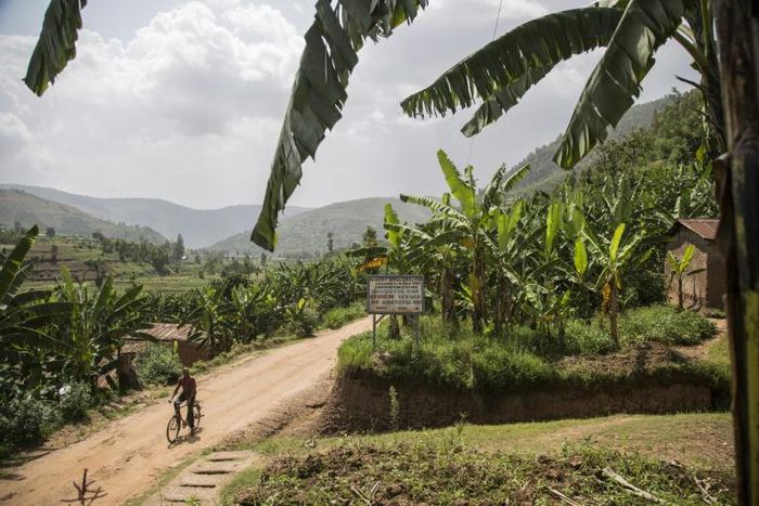 Twenty-five years ago, this tranquil valley about 40 kilometres (25 miles) west of Rwanda's capital Kigali, became a killing field