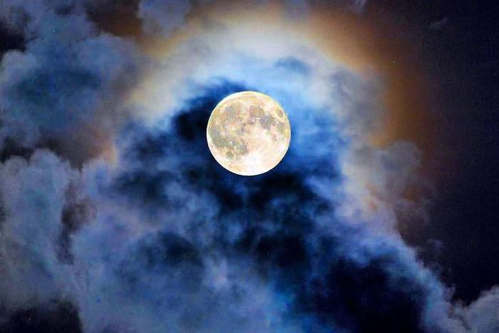 What The New Moon In Aries Means For Your Sign