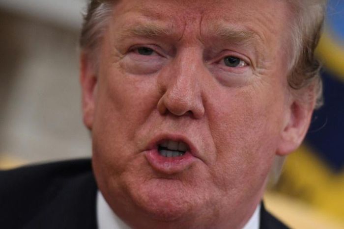 US President Donald Trump said he is '100 percent' prepared to shut down the US-Mexico border to force action to deter illegal immigrants