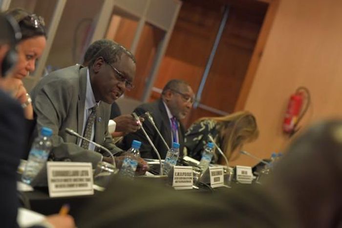 United Nations Economic Commission for Africa (ECA)