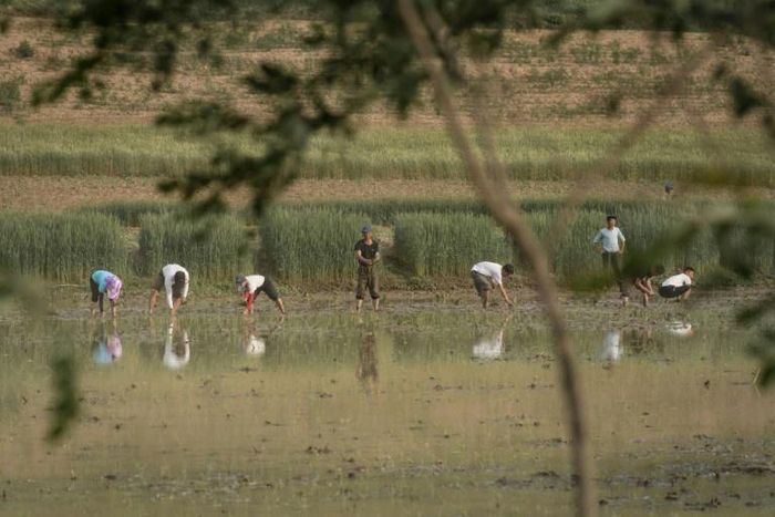 North Korea is under several sets of sanctions over its weapons programmes and has long struggled to feed itself