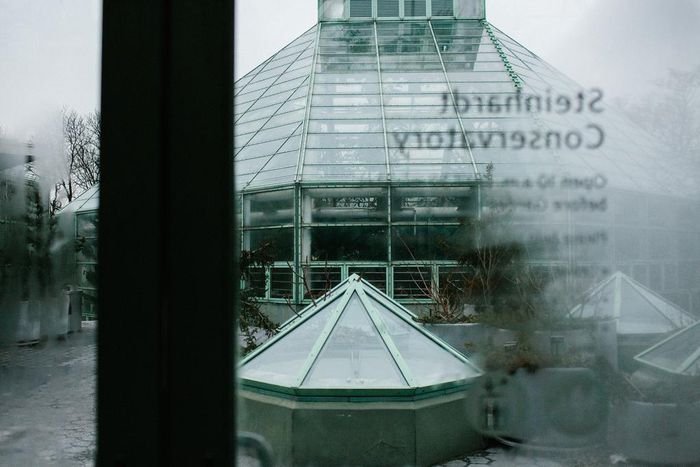 Philanthropist Is Accused of Sexual Harassment